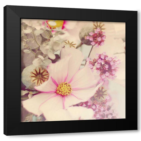 Pink Blossoms II Black Modern Wood Framed Art Print with Double Matting by Gardner, Sarah
