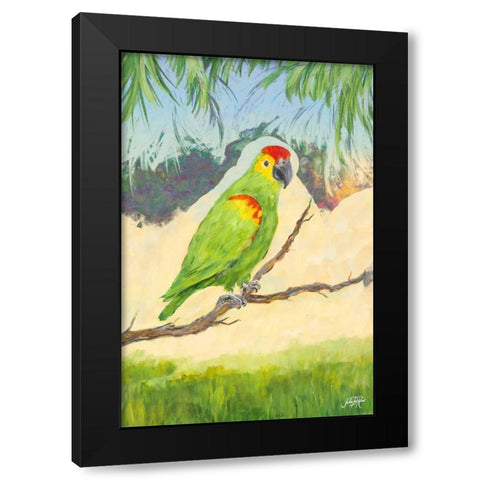 Tropic Bird in Paradise II Black Modern Wood Framed Art Print by DeRice, Julie
