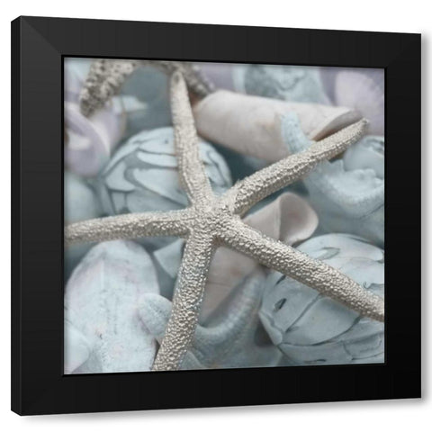 Seashells in Blue I Black Modern Wood Framed Art Print with Double Matting by Bryant, Susan