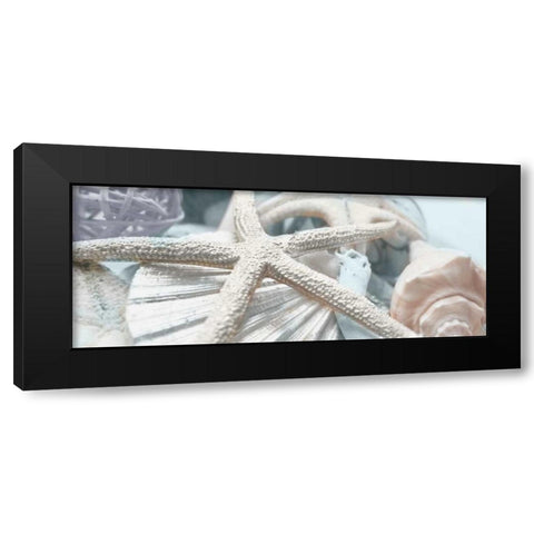 Gold Seashells I Black Modern Wood Framed Art Print with Double Matting by Bryant, Susan