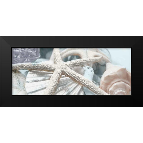 Gold Seashells I Black Modern Wood Framed Art Print by Bryant, Susan