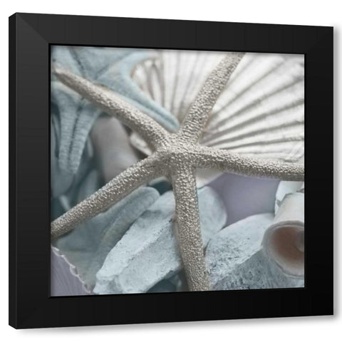 Seashells in Blue II Black Modern Wood Framed Art Print by Bryant, Susan