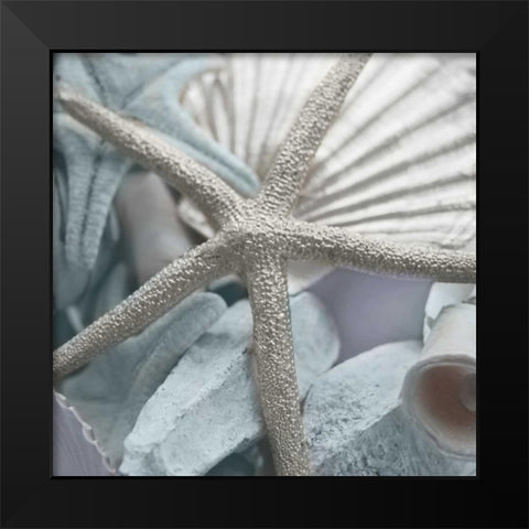 Seashells in Blue II Black Modern Wood Framed Art Print by Bryant, Susan