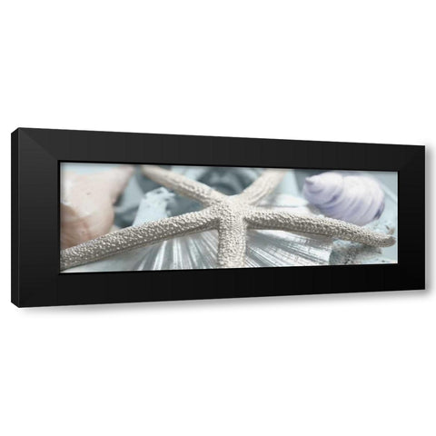 Gold Seashells II Black Modern Wood Framed Art Print with Double Matting by Bryant, Susan