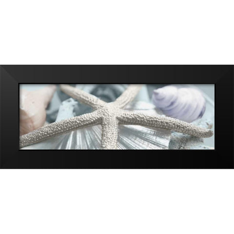 Gold Seashells II Black Modern Wood Framed Art Print by Bryant, Susan