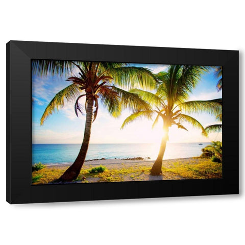 New Bimini Black Modern Wood Framed Art Print by Bryant, Susan