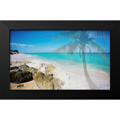 Palm By The Rocks Black Modern Wood Framed Art Print by Bryant, Susan