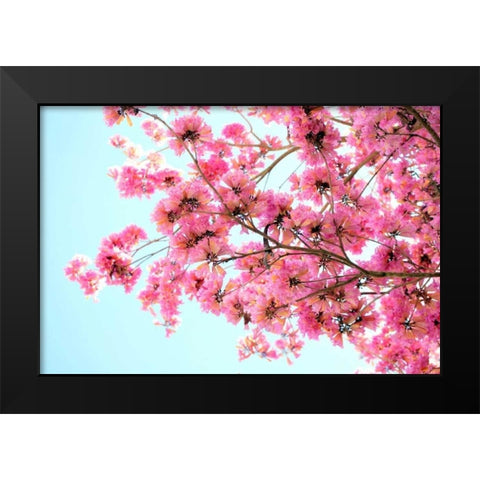 Pink Floral Branch Black Modern Wood Framed Art Print by Peck, Gail