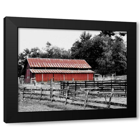 BW Rustic Barn Black Modern Wood Framed Art Print with Double Matting by Peck, Gail