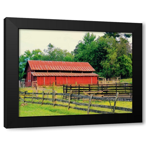 American Suite Black Modern Wood Framed Art Print by Peck, Gail