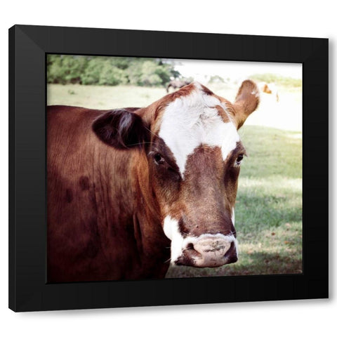 Farm Black Modern Wood Framed Art Print by Peck, Gail