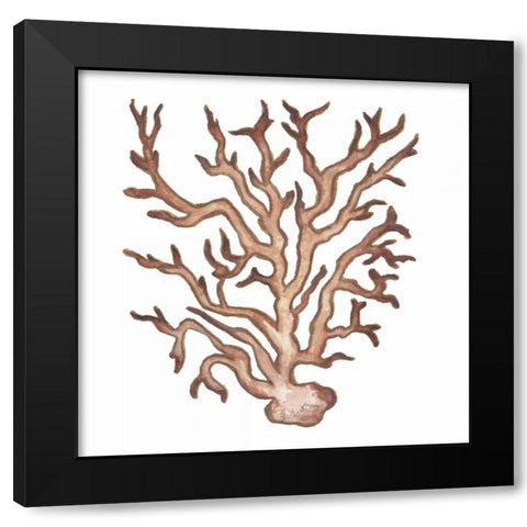 Coastal Icon Coral III Black Modern Wood Framed Art Print with Double Matting by Medley, Elizabeth