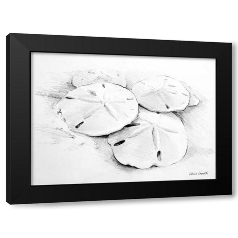 Sand Dollar I Black Modern Wood Framed Art Print by Loreth, Lanie