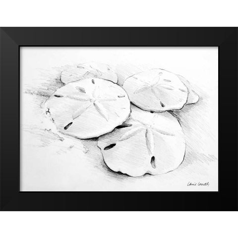 Sand Dollar I Black Modern Wood Framed Art Print by Loreth, Lanie