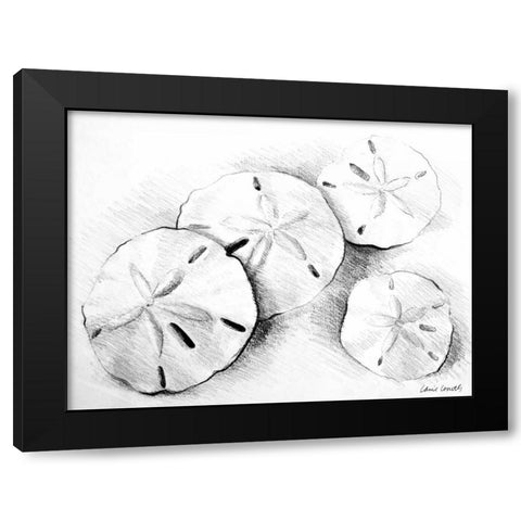 Sand Dollar II Black Modern Wood Framed Art Print with Double Matting by Loreth, Lanie
