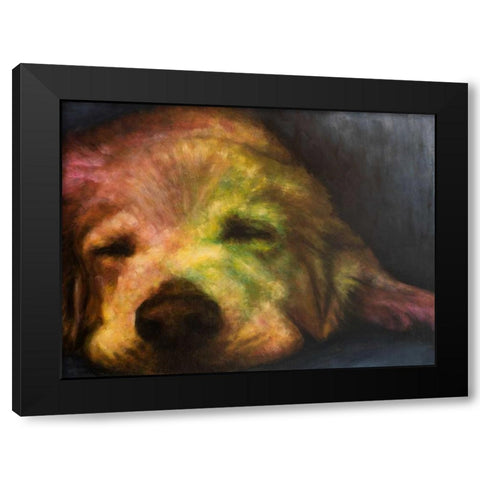 Dog Day Afternoon Black Modern Wood Framed Art Print with Double Matting by Johnson, Walt
