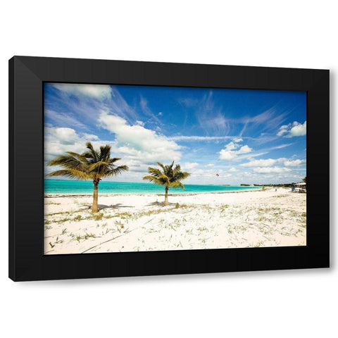 Palms and Kites Black Modern Wood Framed Art Print by Bryant, Susan