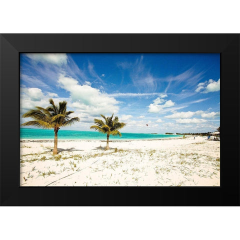 Palms and Kites Black Modern Wood Framed Art Print by Bryant, Susan