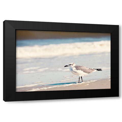 See the Seagull Black Modern Wood Framed Art Print by Bryant, Susan