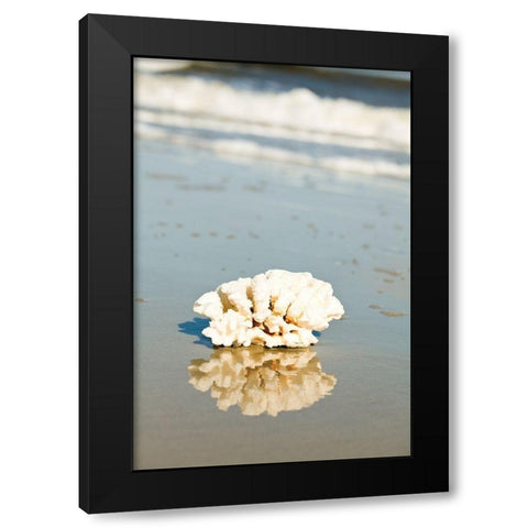 Coral Reflection Black Modern Wood Framed Art Print by Bryant, Susan