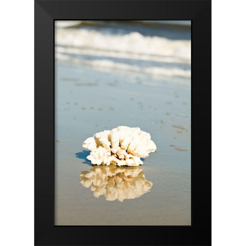 Coral Reflection Black Modern Wood Framed Art Print by Bryant, Susan