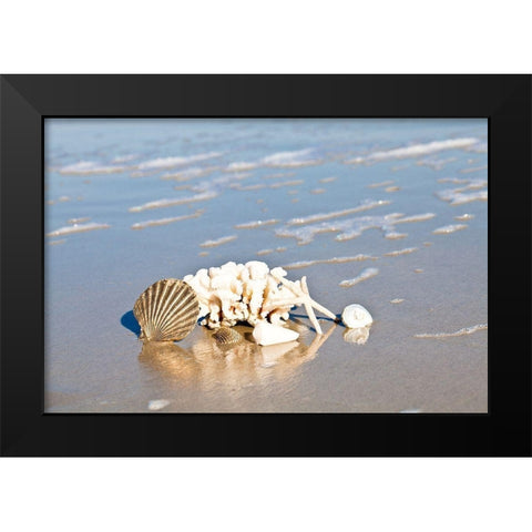 Seashell Reflection Black Modern Wood Framed Art Print by Bryant, Susan
