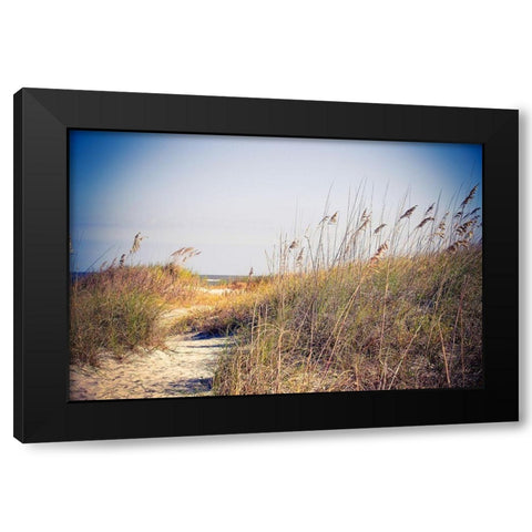 Beach Grass Path Black Modern Wood Framed Art Print by Bryant, Susan