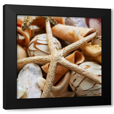 Gold Starfish I Black Modern Wood Framed Art Print with Double Matting by Bryant, Susan