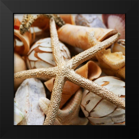 Gold Starfish I Black Modern Wood Framed Art Print by Bryant, Susan