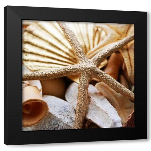 Gold Starfish II Black Modern Wood Framed Art Print with Double Matting by Bryant, Susan
