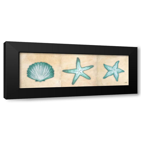 Shells I Black Modern Wood Framed Art Print with Double Matting by Medley, Elizabeth