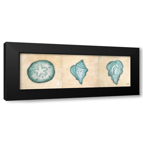 Shells II Black Modern Wood Framed Art Print with Double Matting by Medley, Elizabeth