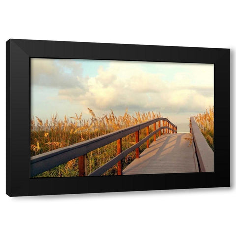 Sunset Pathway Black Modern Wood Framed Art Print with Double Matting by Peck, Gail