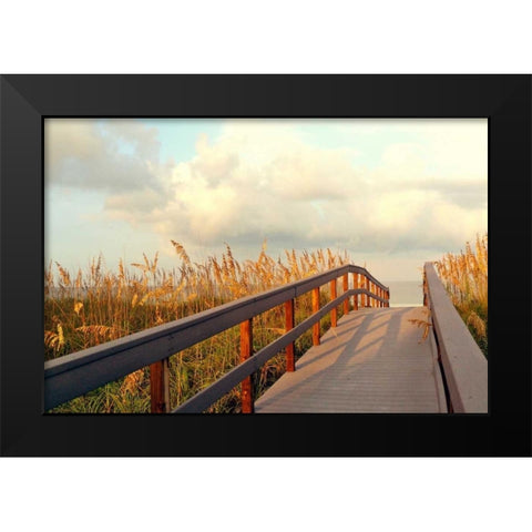 Sunset Pathway Black Modern Wood Framed Art Print by Peck, Gail