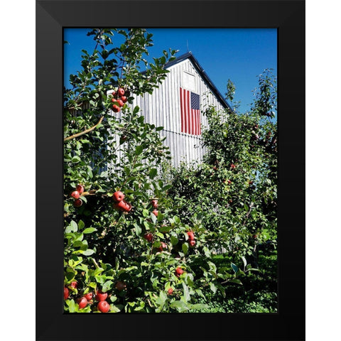 Patriotic Barn Black Modern Wood Framed Art Print by Peck, Gail