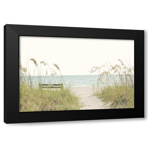Sandy Path Black Modern Wood Framed Art Print with Double Matting by Peck, Gail