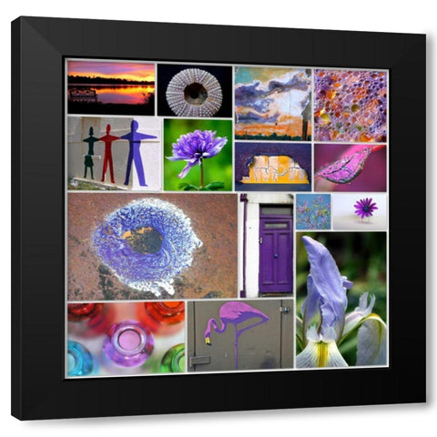 Purple Blossom Collage Black Modern Wood Framed Art Print by Peck, Gail
