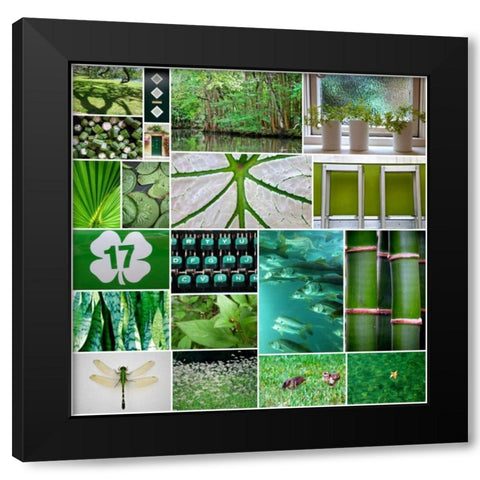 Forest Green Collage Black Modern Wood Framed Art Print with Double Matting by Peck, Gail
