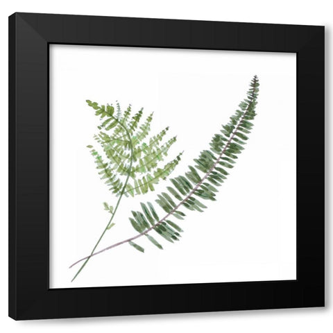 Floral II Black Modern Wood Framed Art Print by Baliko, Linda