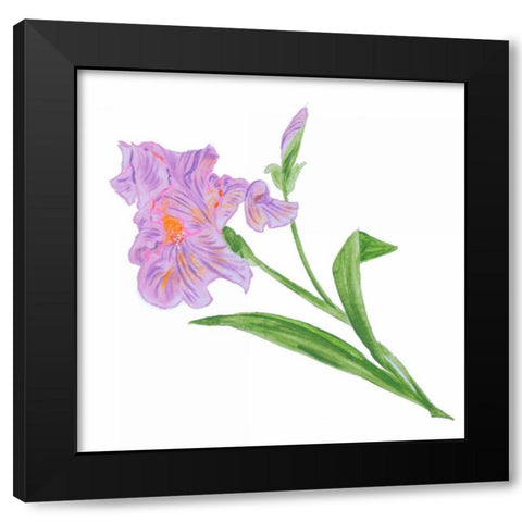 Floral VI Black Modern Wood Framed Art Print by Baliko, Linda