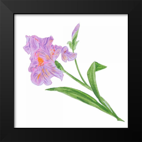 Floral VI Black Modern Wood Framed Art Print by Baliko, Linda