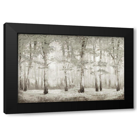 Misty Woodland Glow Black Modern Wood Framed Art Print with Double Matting by Marcon, Michael