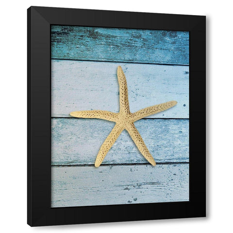 Shell on Blue Wood I Black Modern Wood Framed Art Print by Rodriguez, Jairo