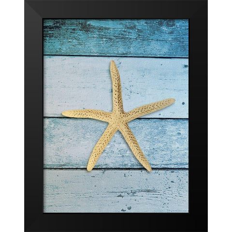 Shell on Blue Wood I Black Modern Wood Framed Art Print by Rodriguez, Jairo