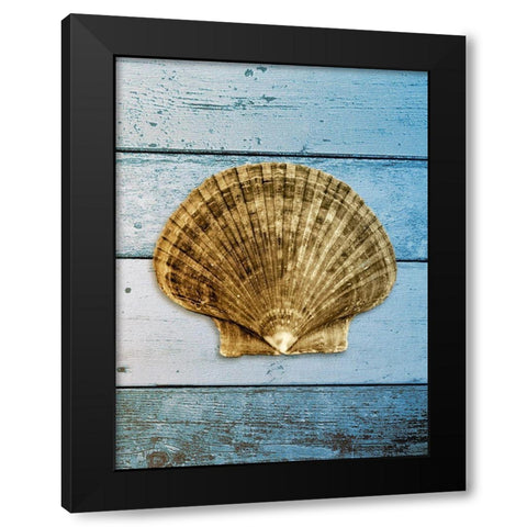 Shell on Blue Wood II Black Modern Wood Framed Art Print with Double Matting by Rodriguez, Jairo