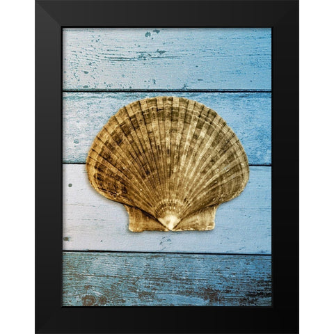 Shell on Blue Wood II Black Modern Wood Framed Art Print by Rodriguez, Jairo