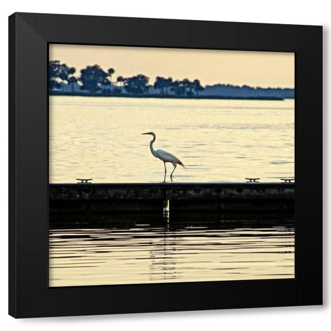 Along The Pier Black Modern Wood Framed Art Print by Nawrocke, Bruce