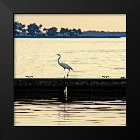 Along The Pier Black Modern Wood Framed Art Print by Nawrocke, Bruce