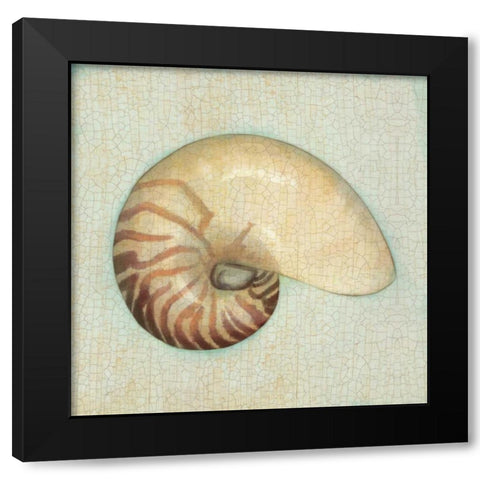 Coastal Treasures III Black Modern Wood Framed Art Print by Josefina
