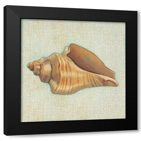Coastal Treasures II Black Modern Wood Framed Art Print with Double Matting by Josefina